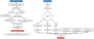 Methodology Flowchart