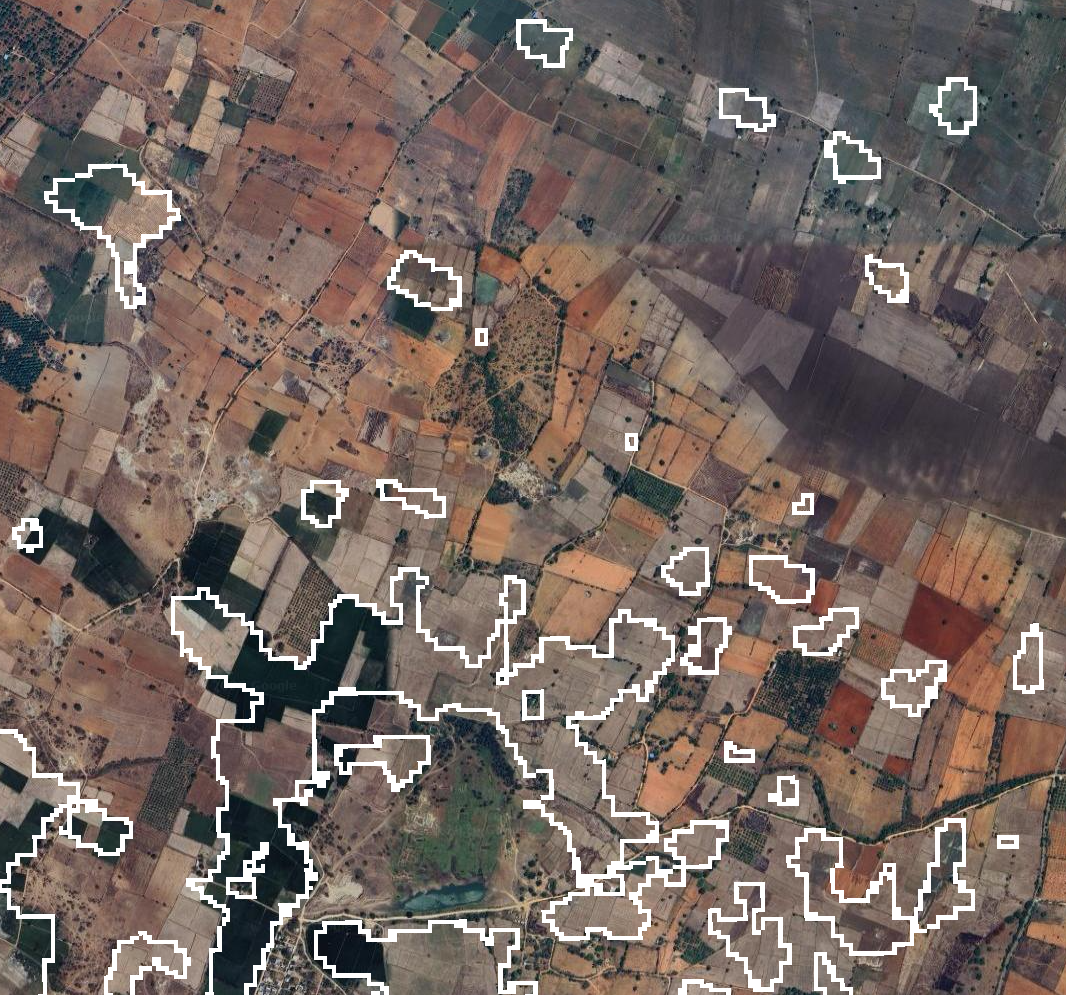 White boundary delineation of detected paddy fields